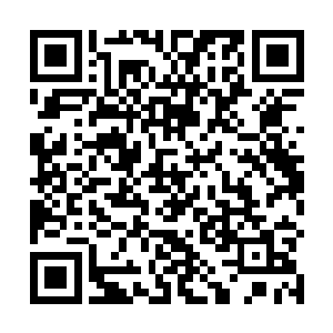 只不过粗大的旗杆上绑着的不是城主府或扎克家族旗帜二维码生成