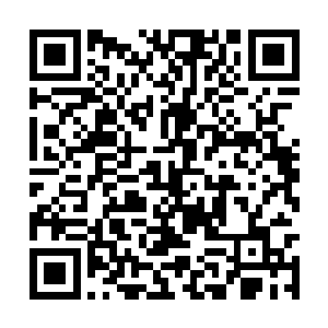 只不过老身决策却不足以断言整个帝家往后的道路二维码生成