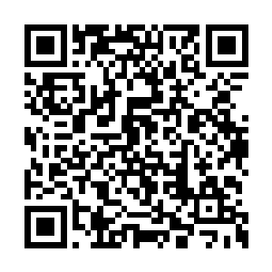 只不过臃肿的体型与她的杀人剑术有些不相匹配二维码生成