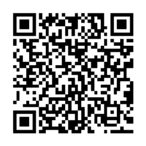 只不过自己这一年多时间在南潭打的基础基本上就算是白费了二维码生成