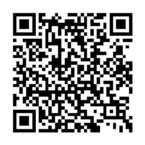 只不过萧摇这种行为无疑会激怒全校师生的愤慨二维码生成