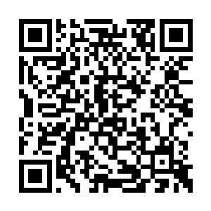 只不过血色大手是血海中一个不算起眼的小变化二维码生成