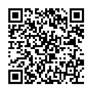 只不过说了一句跟明星有点像就被这些人炮轰了一顿二维码生成