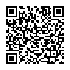 只不过这一次并未像意料之中一般踢在云老头的身上二维码生成