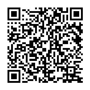 只不过这个深坑当中的仙泉水并不像之前那口仙泉当中的泉水一样温暖二维码生成