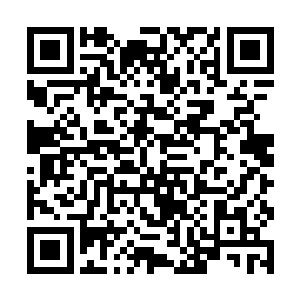 只不过这回来珀尔可能有尝到了被人卡住脖子的痛楚二维码生成