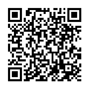 只不过这弟子却不知道为何身上竟有一本魔道中人修炼的邪术二维码生成