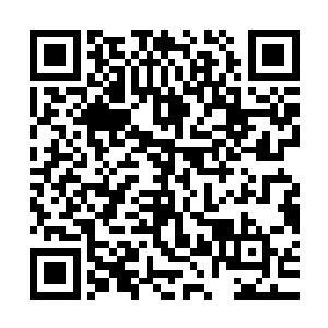 只不过这边的异兽图上雕刻的异兽和刚才那些异兽造型完全不同二维码生成