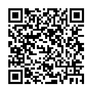 只不过这里相对落后的居住条件实在是入不得法眼二维码生成