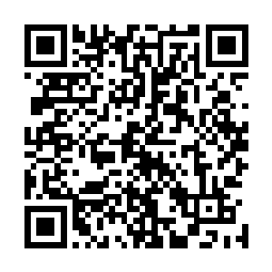 只不过这里跟赌场不一样的是只要有些眼光的人都不会被骗二维码生成