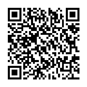只不过这阵法乃是曾经大乘期闯进来都被劈个半死二维码生成
