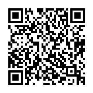 只不过那两万亿极品仙晶都存在汇晶商行给许紫烟的一块玉牌上二维码生成