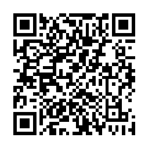 只不过那道道狰狞的伤口依旧在默默的诉说着他之前的惨状二维码生成