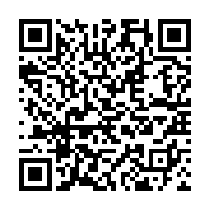 只不过陈观知道自己和柳寿永都不被苗坤生信任而已二维码生成