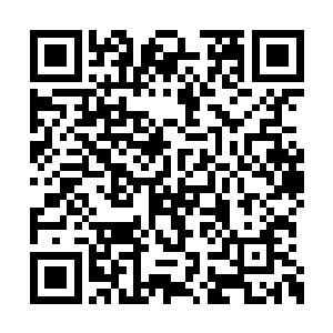 只为了让自己的神魂绽放出刹那间最璀璨的花火二维码生成