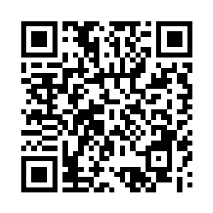 只为剪几枝在那个人眼里最美最艳的花枝二维码生成