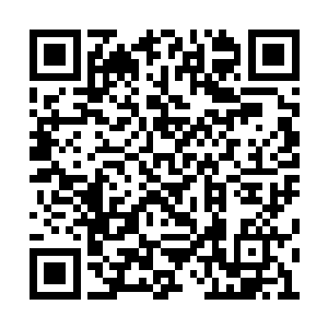 只以为是普通的灵兽跟在杨晨身边出来玩玩而已二维码生成