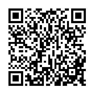 只以为血妖姬族也与金龙族一般繁衍至今的世界树万族二维码生成