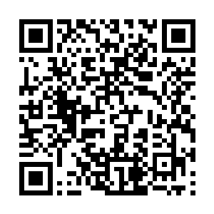 只会以为这密密麻麻不计其数的甲壳虫是胃壁的膜二维码生成