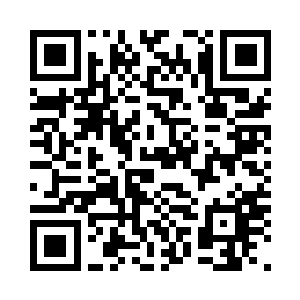 只会码字的作者没有更好的感谢方式二维码生成