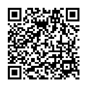 只会落得陪着雨落尘与风怒潮一道陷进去的局面二维码生成