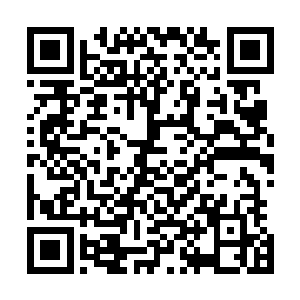 只但愿宫里的叶昭仪和黎王真的能替叶容兜一辈子的烂摊子二维码生成