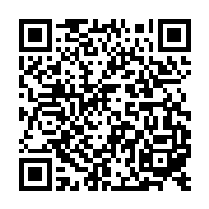 只余那六千余无头的火焰流寇尸体僵立在大阵之中二维码生成