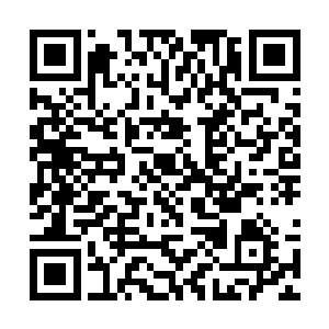 只凭他的躯体力量又怎么能抵得过风清扬的僵尸之躯二维码生成