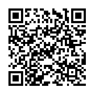 只凭卢八娘一个人根本不可能反抗如此强大的力量二维码生成