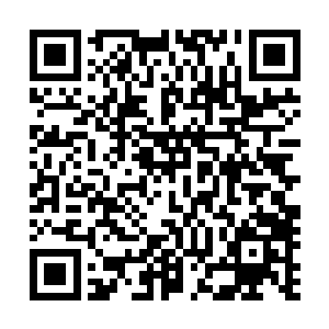 只凭符箓内封印不了真龙之血的力道就能看出来符箓的威力二维码生成