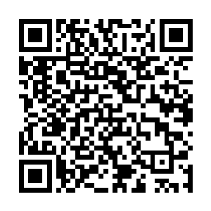 只出现了一些野兽的爪子抓过的痕迹……并不是非常重二维码生成