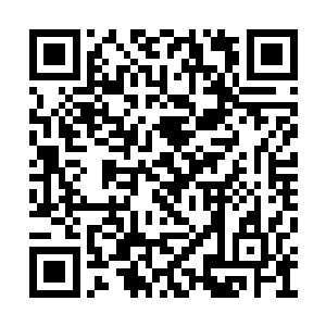 只剩下一个青竖红横交叉构成的一个奇异的十字二维码生成