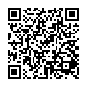 只剩下之前穆根为了不污染环境塞进来的旧绷带二维码生成