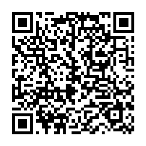 只剩下了一个不知所措的巫师学徒留守在强大而封闭的秘密花园之中二维码生成
