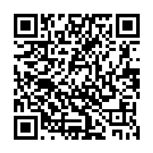 只剩下了刚传送下来不的小星星和没有被大招拉中的陈诚二维码生成