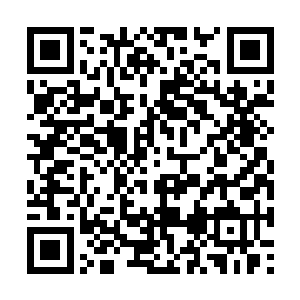 只剩下几根插在河底的木头柱子突兀的竖在水中间二维码生成