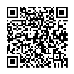 只剩下凤小熊骑的马还有唐玥包裹凤小熊脑袋用的金蚕丝甲二维码生成