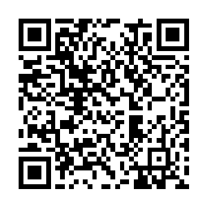 只剩下半截身体的魏新豪血肉模糊的倒在沐然怀里二维码生成