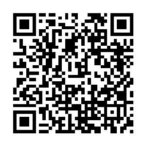 只剩下市政法委书记应时良一个人持反对意见了二维码生成