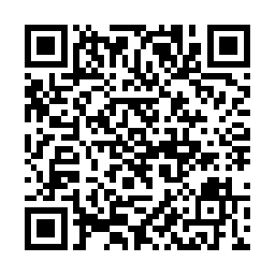 只剩下的一丝丝血皮直接让这些软妹纸一剂法术轰来二维码生成