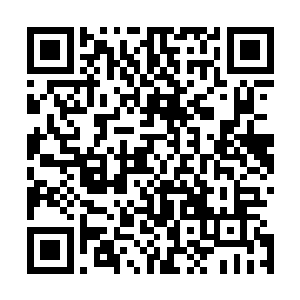 只剩下雷兽和两年多前在肉身试炼中悟出的离碎拳和灭魂拳二维码生成
