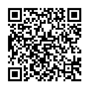 只动作麻利的把那十枚仙树果和自己腰后缀着的十枚解散二维码生成