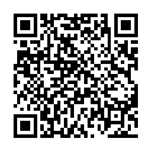 只可惜他的好运气似乎都在刚刚捡拾战利品时用光了二维码生成