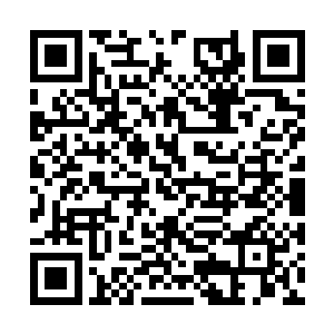 只可惜我们见不到他们被慕容子昌灭杀的那一幕了二维码生成