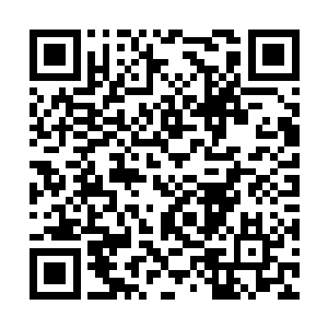 只可惜我还无法将真龙之血的灵力全封印到符箓内二维码生成