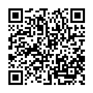 只可惜自己现在还没有权限去查探他的任务进度二维码生成