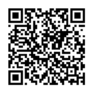 只可惜这两种拳法对上牛老这一脉的八极拳却并没有任何优势二维码生成