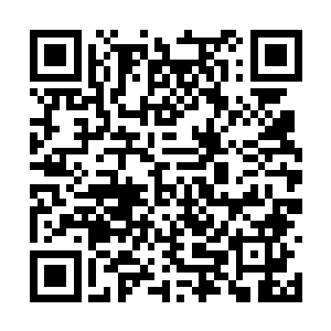 只可惜那个林娜貌似并不想将自己的特长暴露出来二维码生成