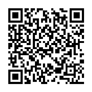 只听两名忍者的身上传来一阵骨骼碎裂的细微声音二维码生成