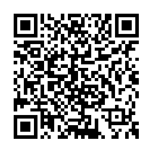 只听到两只傀儡体内传来一阵密密麻麻的咔嚓声二维码生成